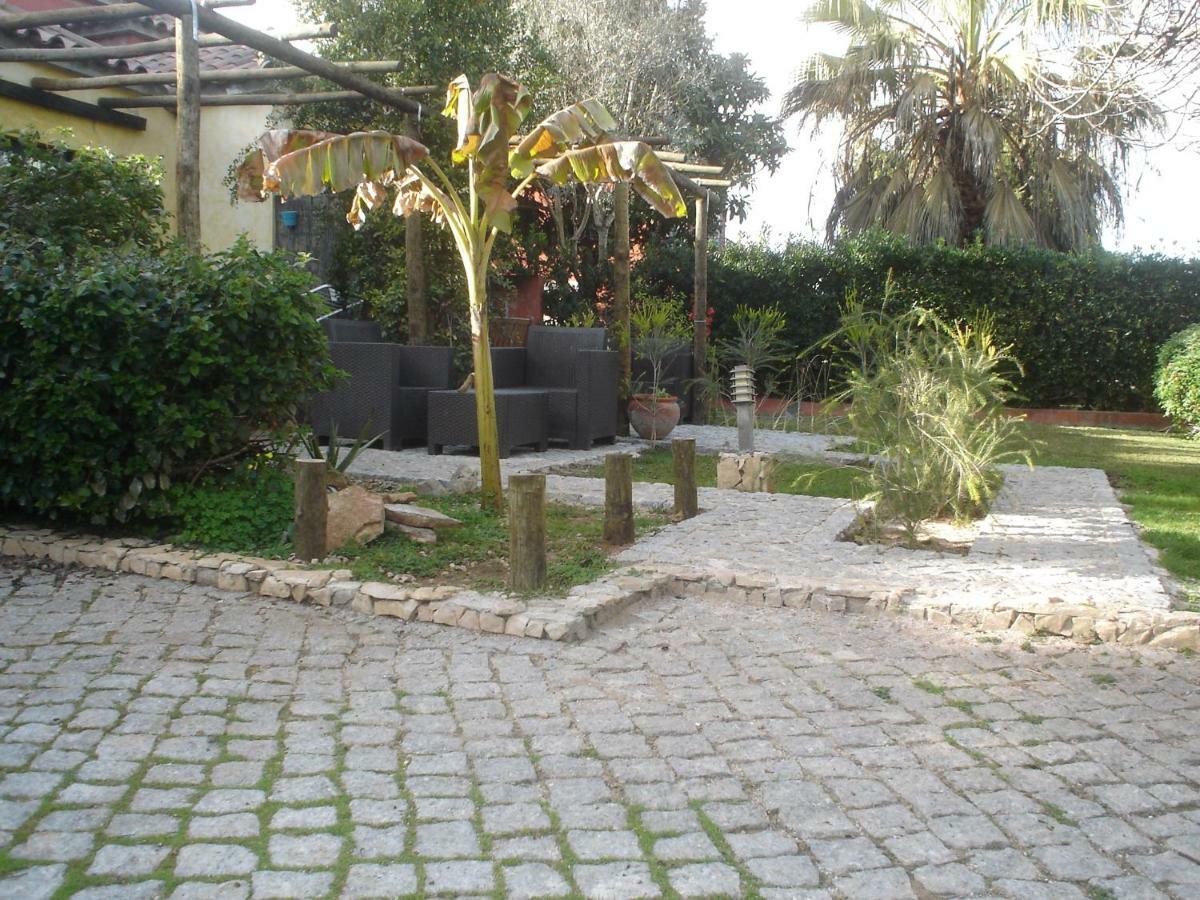 Quinta Da Sao Joao - Villa Oliveira Olhão Exteriér fotografie