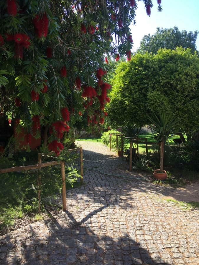 Quinta Da Sao Joao - Villa Oliveira Olhão Exteriér fotografie